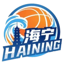 海宁队徽